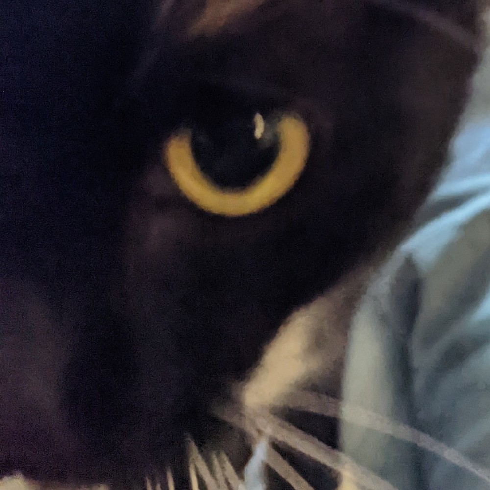 Meet your Posher, Jennifer